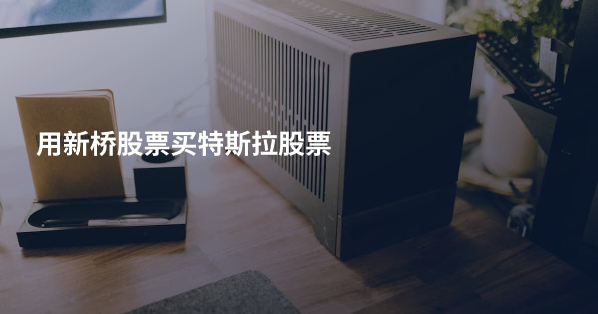 用新桥股票买特斯拉股票