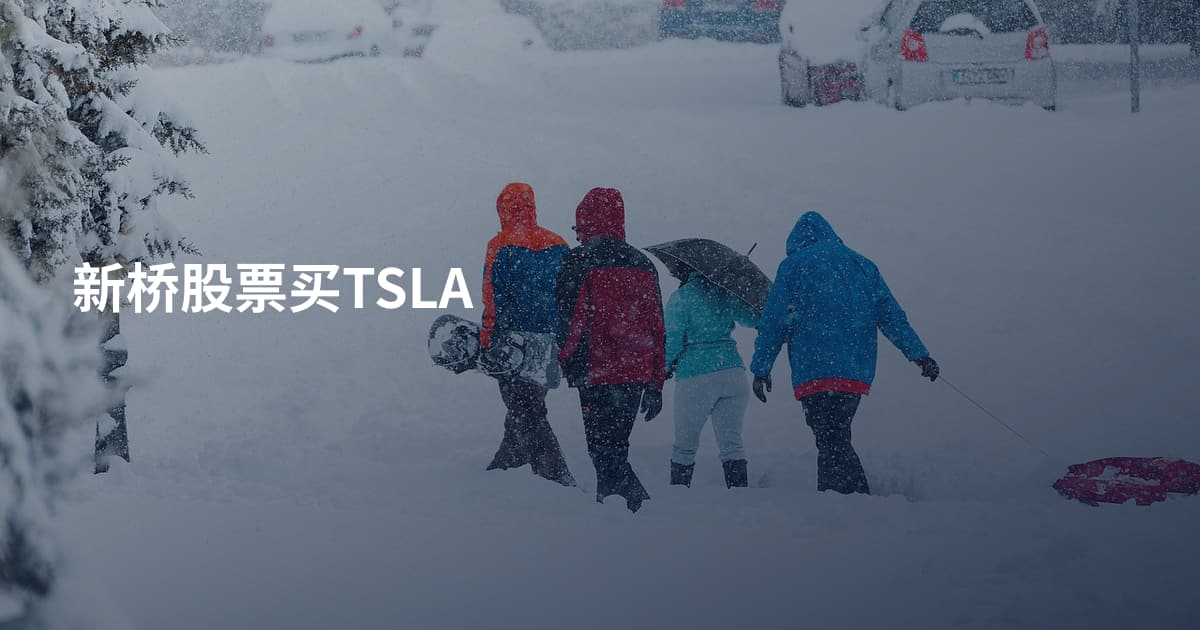 新桥股票买TSLA