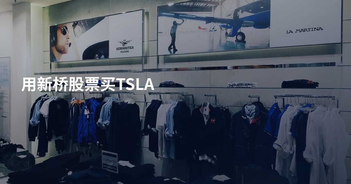 用新桥股票买TSLA