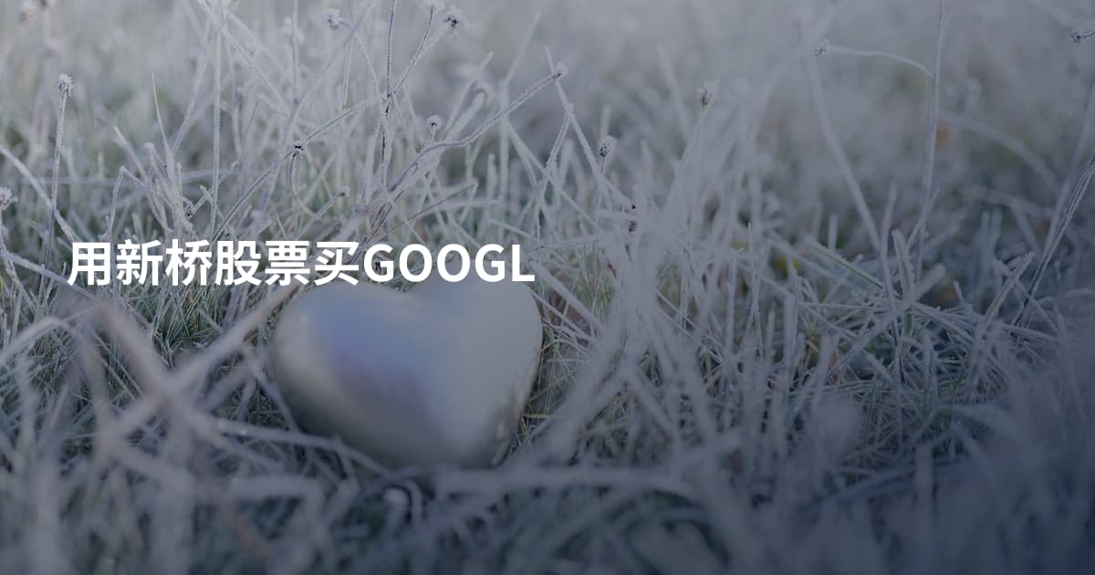用新桥股票买GOOGL