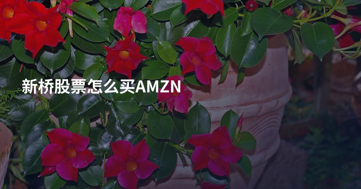 新桥股票怎么买AMZN