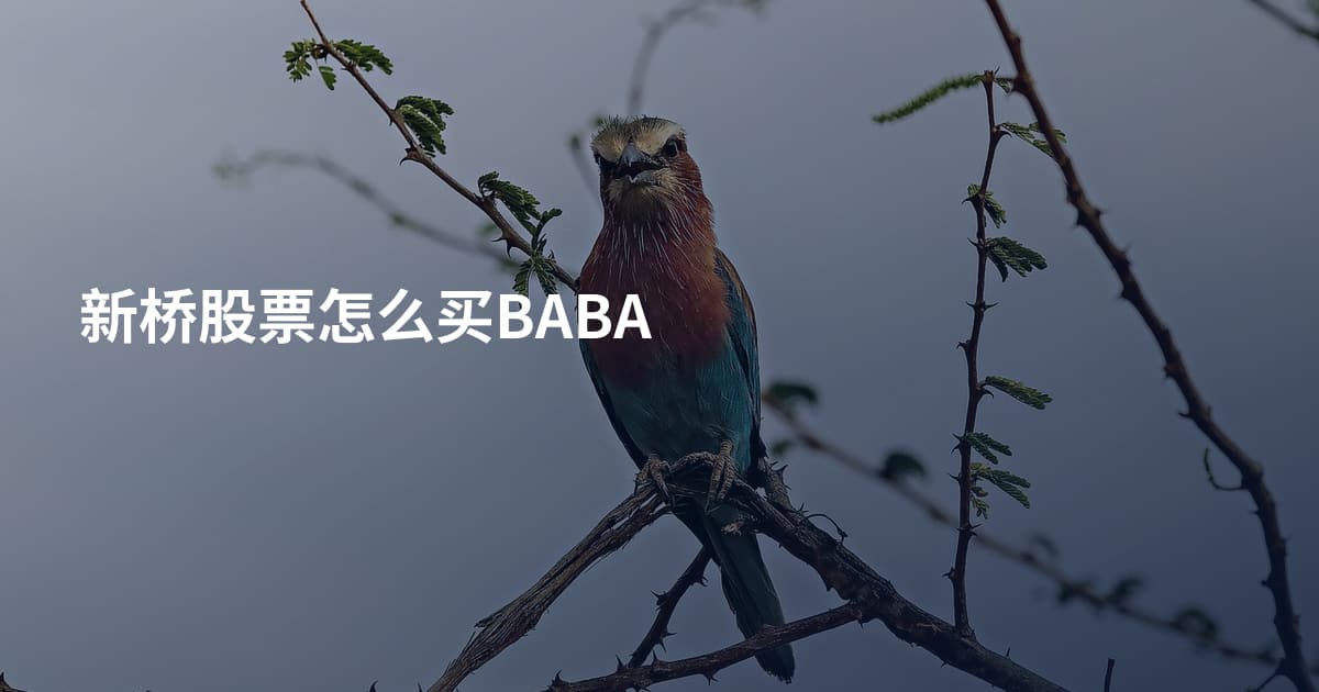 新桥股票怎么买BABA