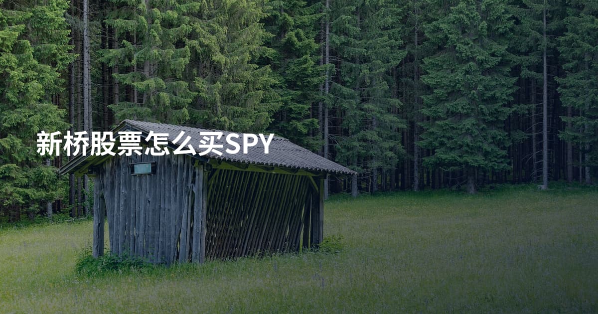新桥股票怎么买SPY