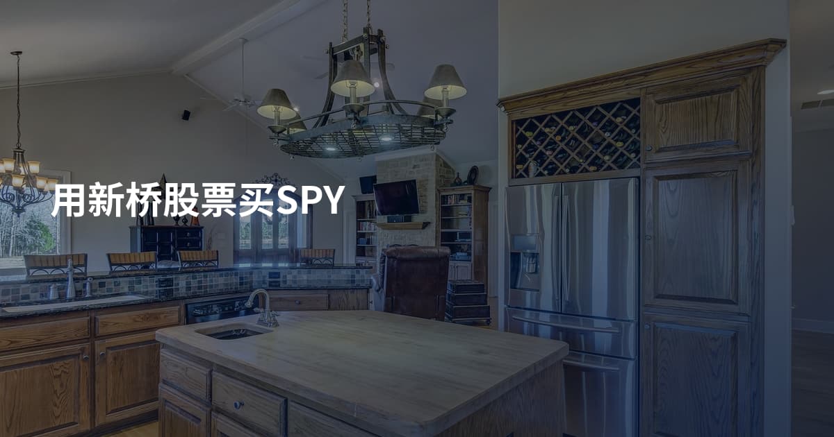 用新桥股票买SPY