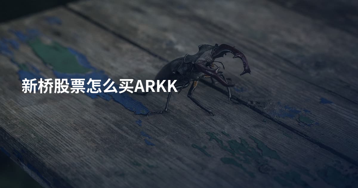 新桥股票怎么买ARKK