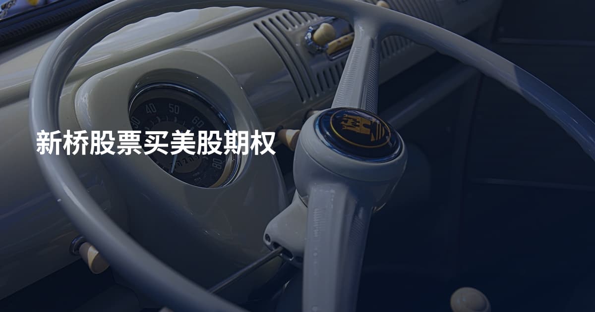 新桥股票买美股期权