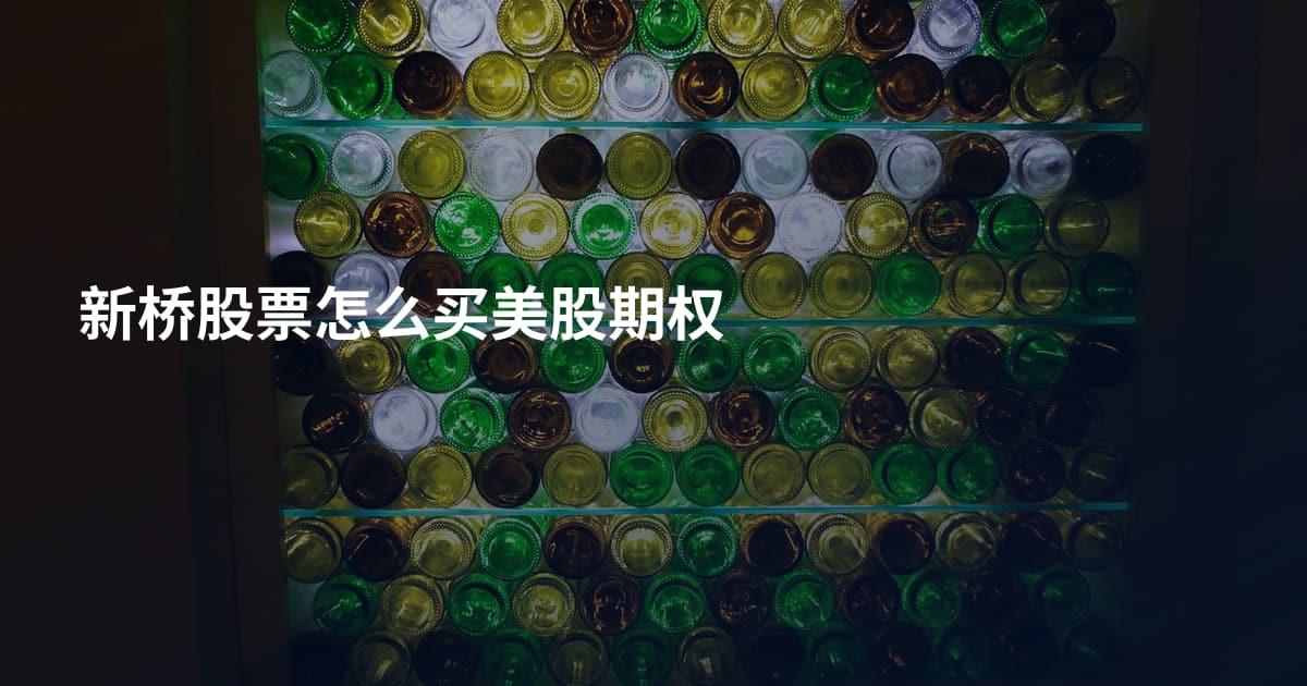 新桥股票怎么买美股期权