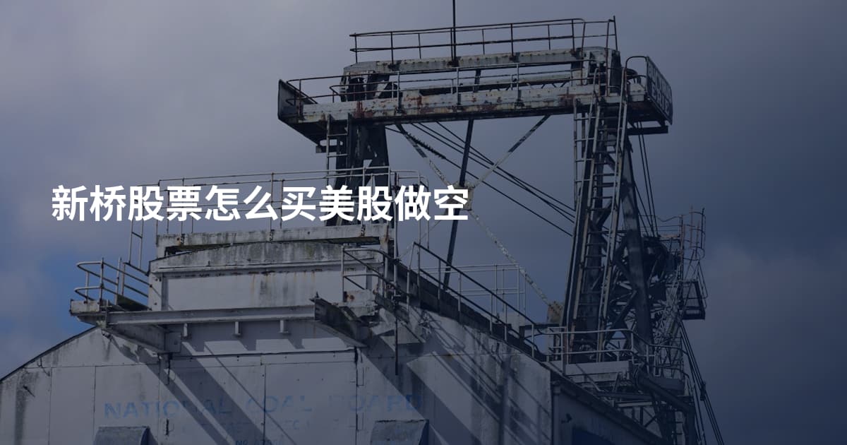 新桥股票怎么买美股做空