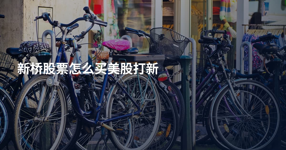 新桥股票怎么买美股打新