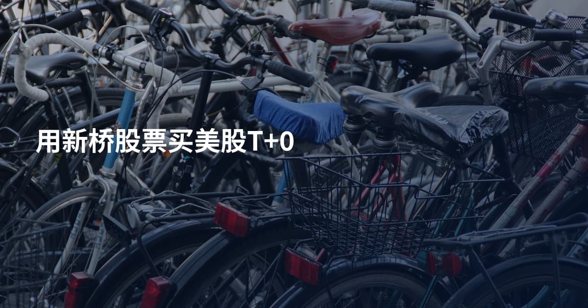 用新桥股票买美股T+0
