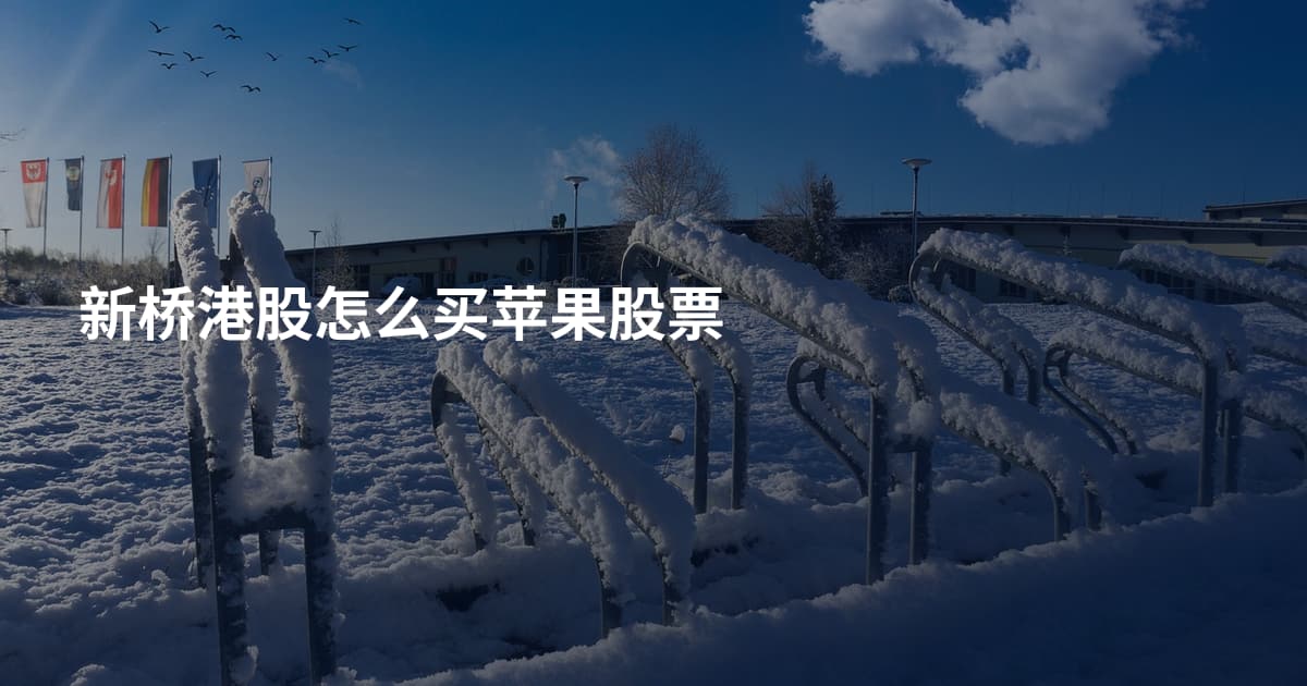 新桥港股怎么买苹果股票
