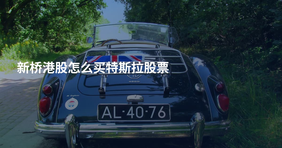 新桥港股怎么买特斯拉股票