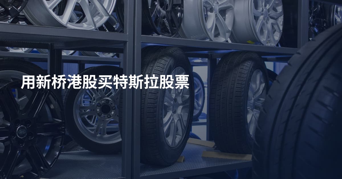 用新桥港股买特斯拉股票