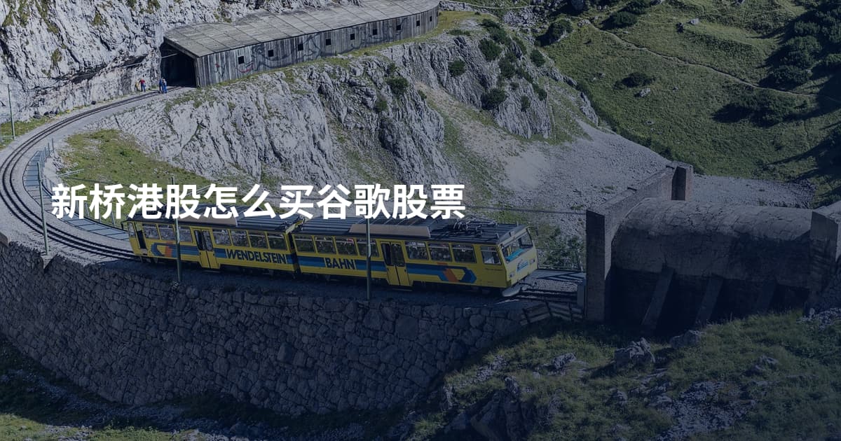 新桥港股怎么买谷歌股票