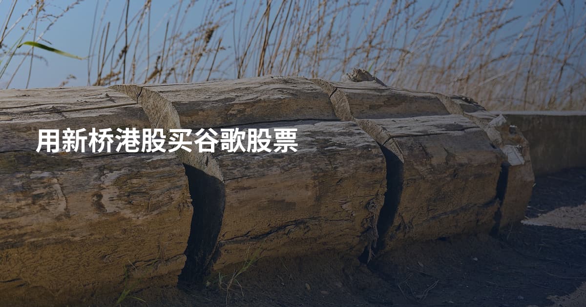 用新桥港股买谷歌股票