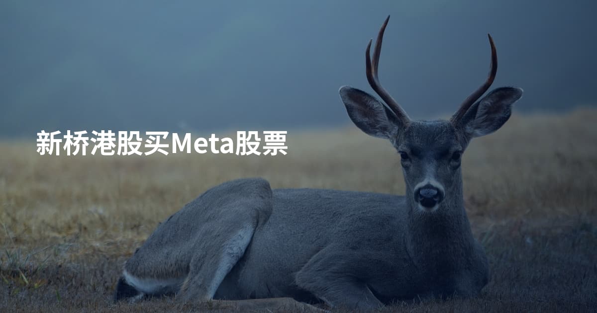 新桥港股买Meta股票