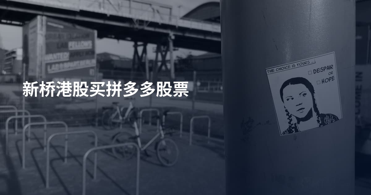 新桥港股买拼多多股票
