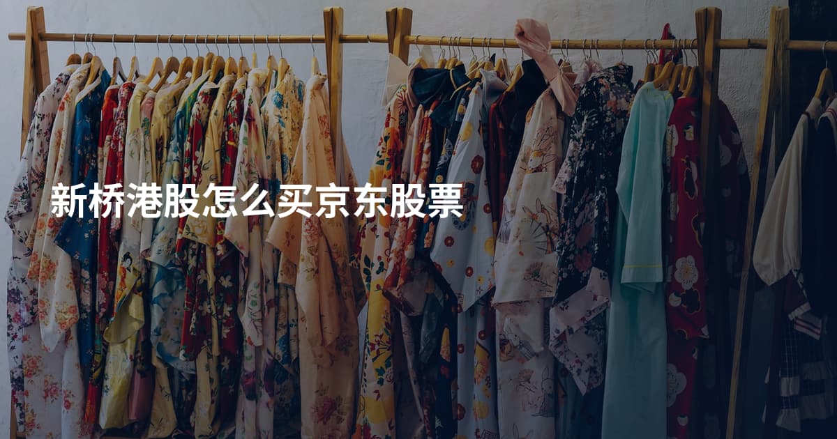 新桥港股怎么买京东股票