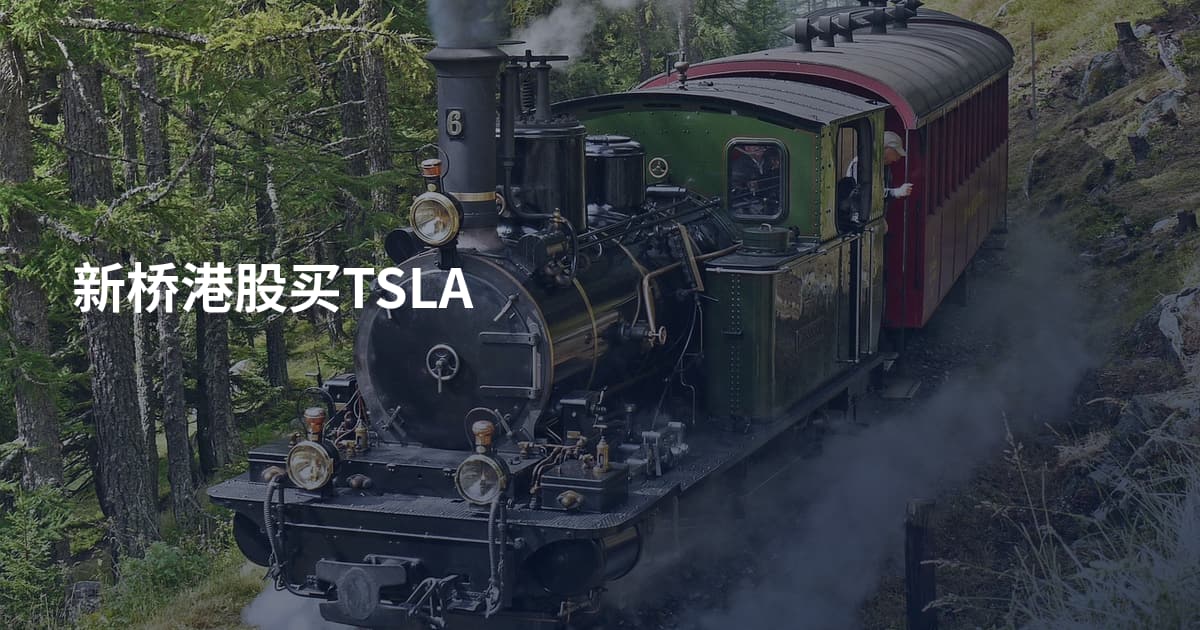 新桥港股买TSLA