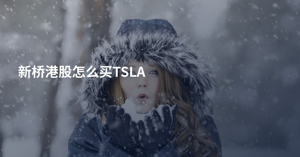 新桥港股怎么买TSLA