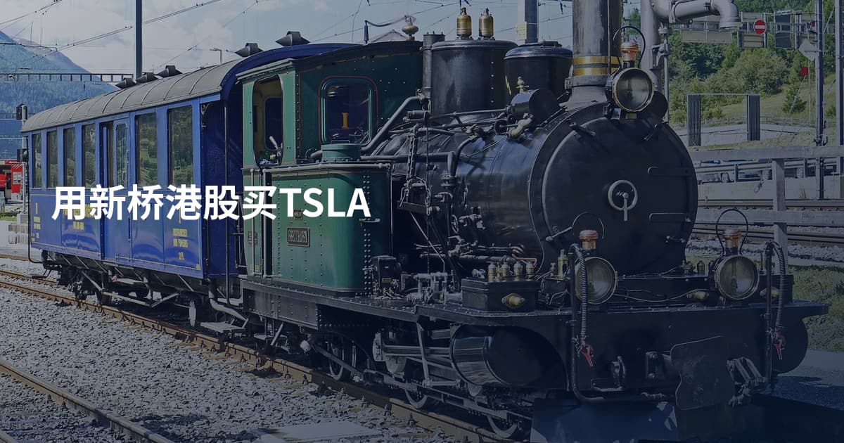 用新桥港股买TSLA