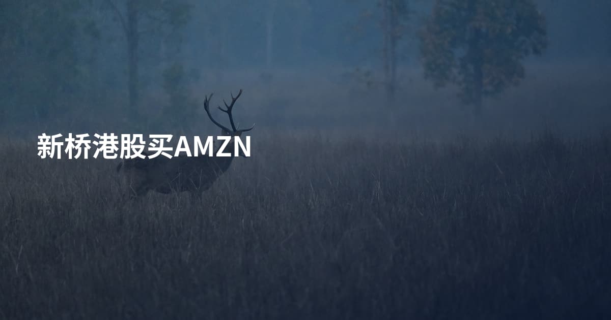 新桥港股买AMZN