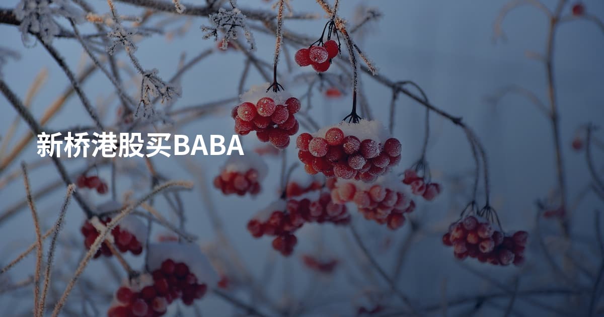新桥港股买BABA
