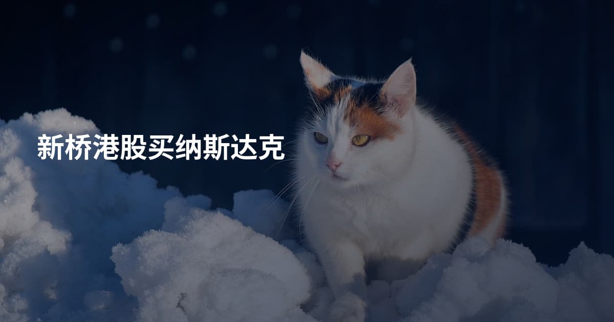 新桥港股买纳斯达克