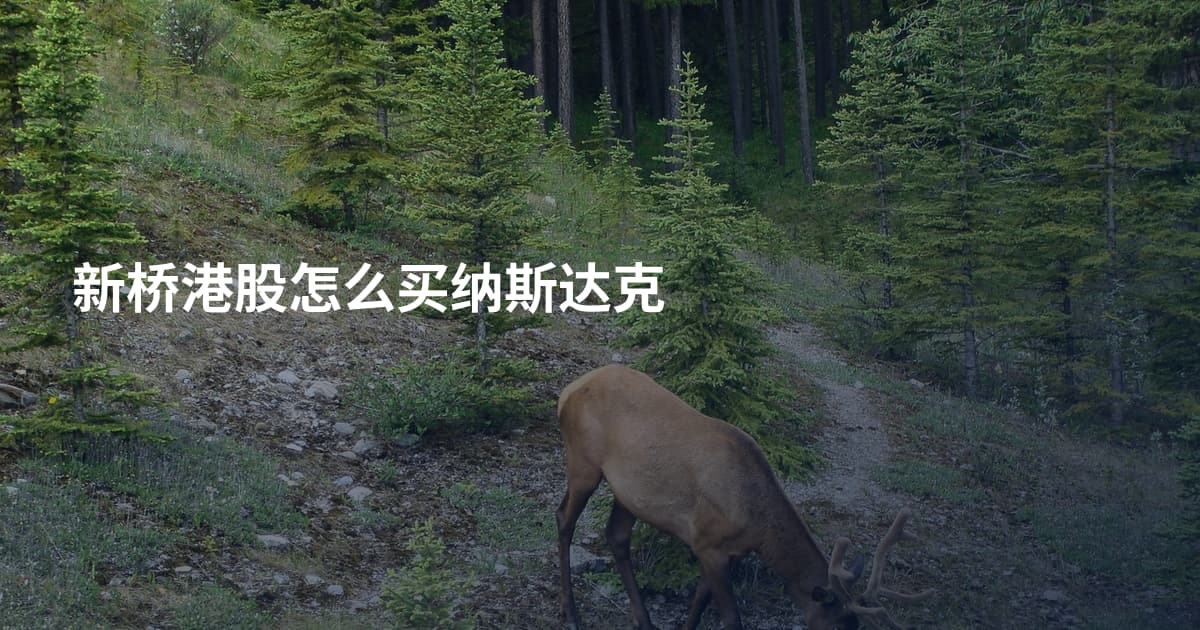 新桥港股怎么买纳斯达克