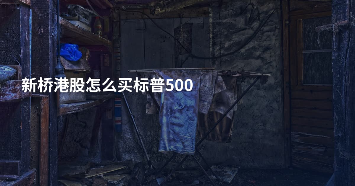 新桥港股怎么买标普500