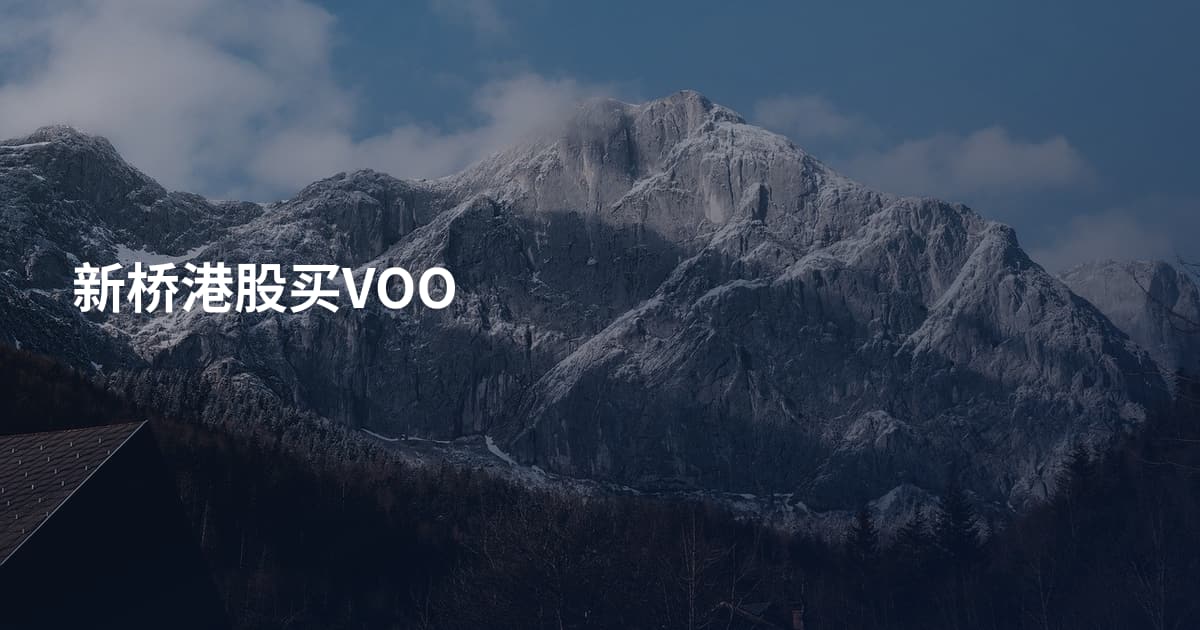 新桥港股买VOO