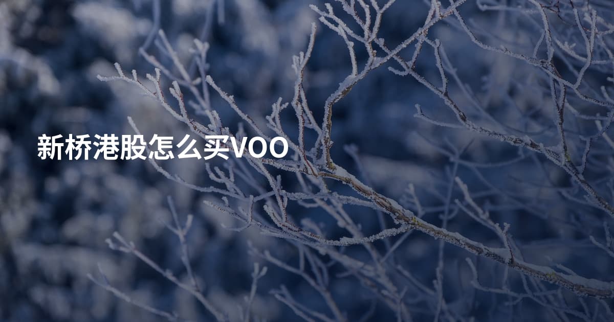 新桥港股怎么买VOO