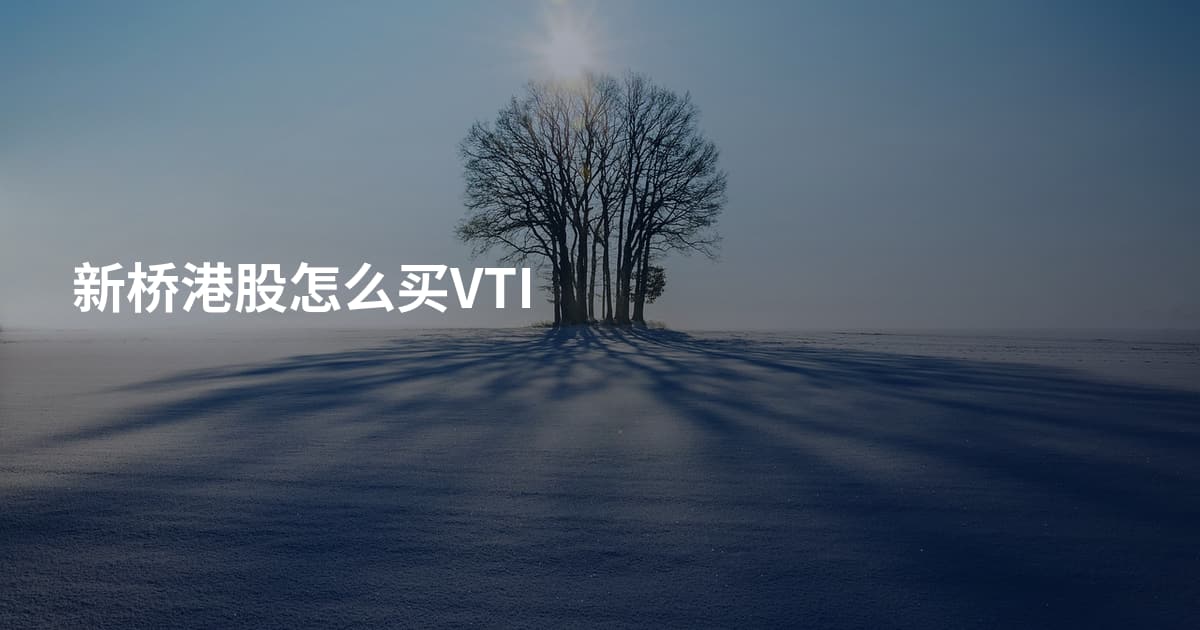 新桥港股怎么买VTI