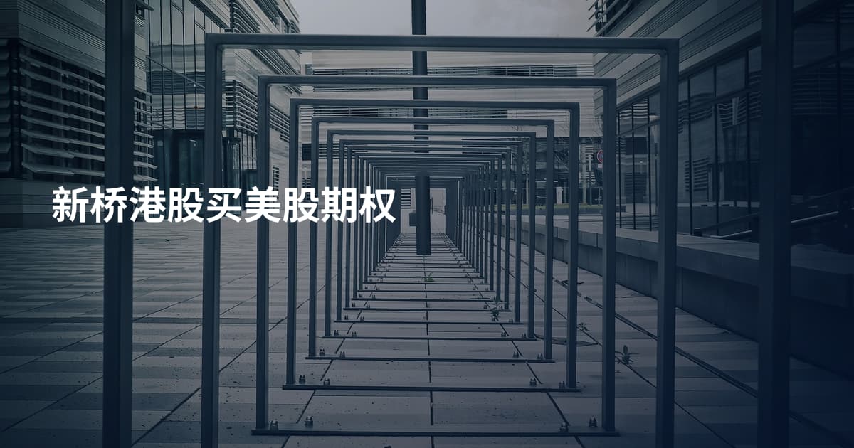 新桥港股买美股期权