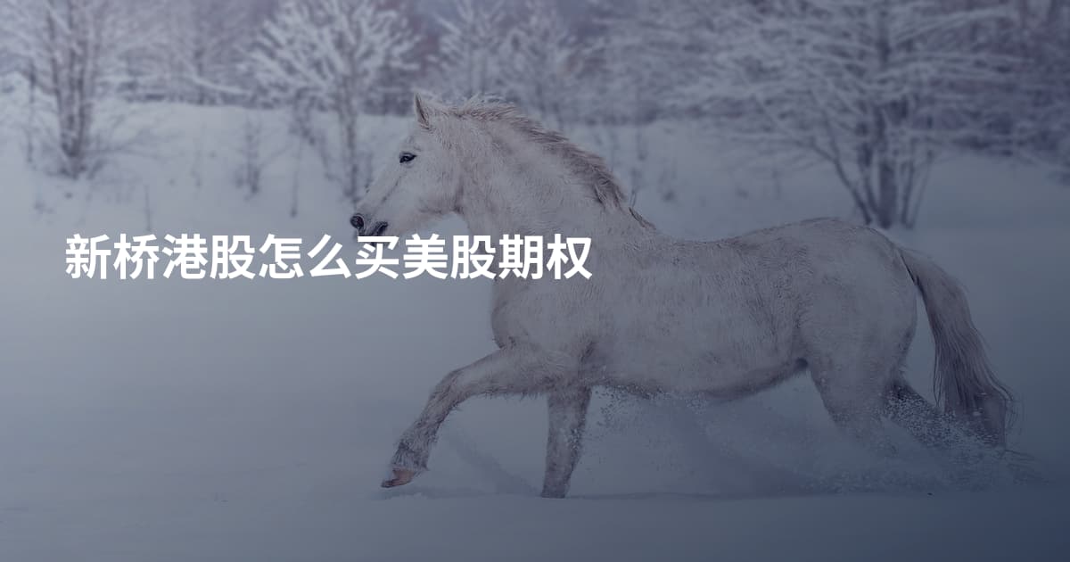 新桥港股怎么买美股期权