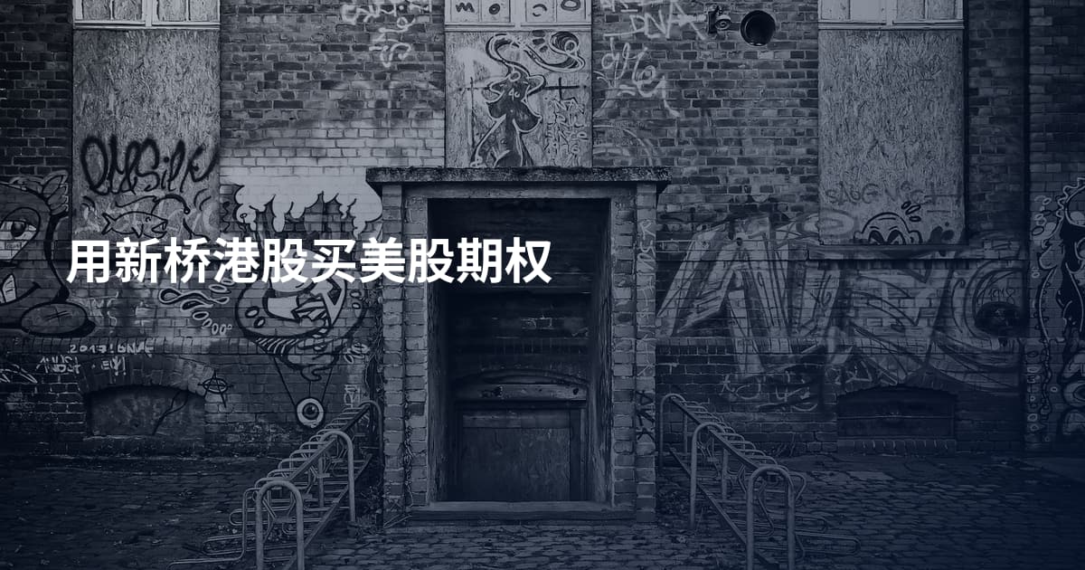 用新桥港股买美股期权