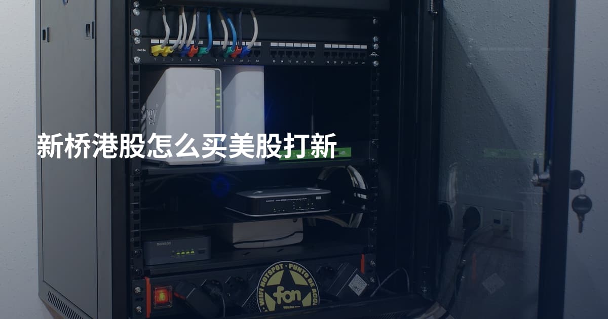 新桥港股怎么买美股打新