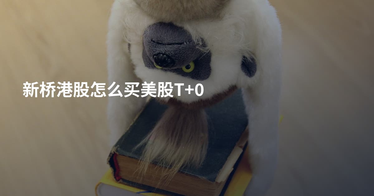 新桥港股怎么买美股T+0