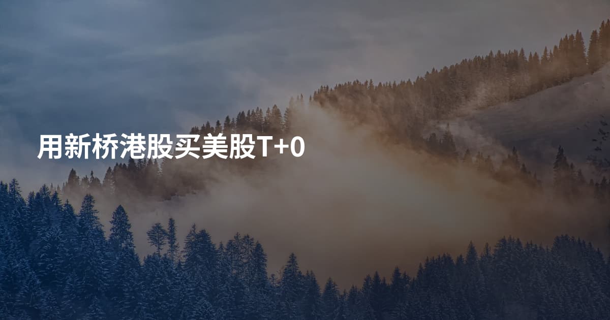 用新桥港股买美股T+0