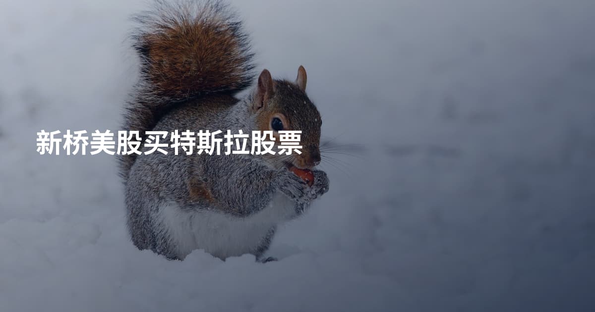 新桥美股买特斯拉股票