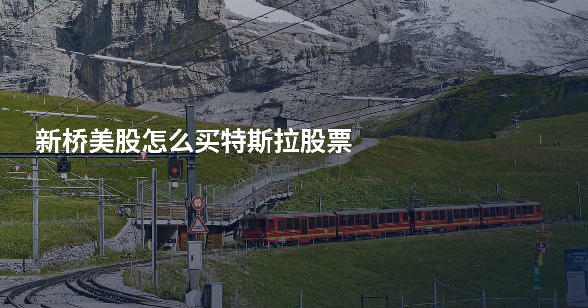 新桥美股怎么买特斯拉股票