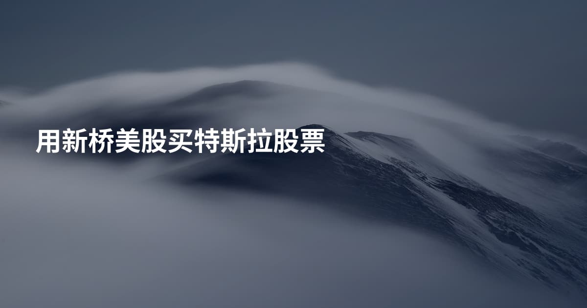 用新桥美股买特斯拉股票