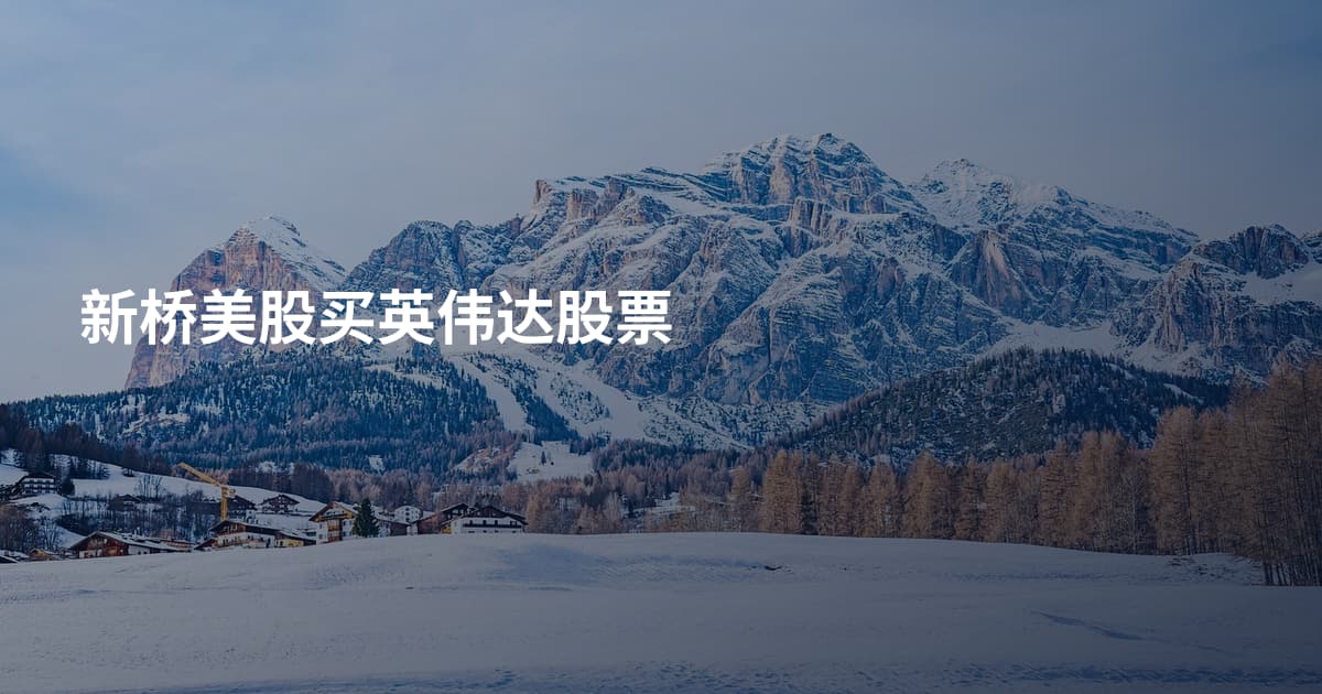 新桥美股买英伟达股票