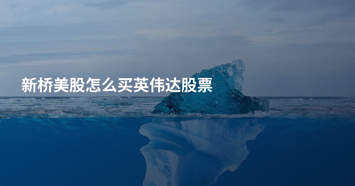 新桥美股怎么买英伟达股票
