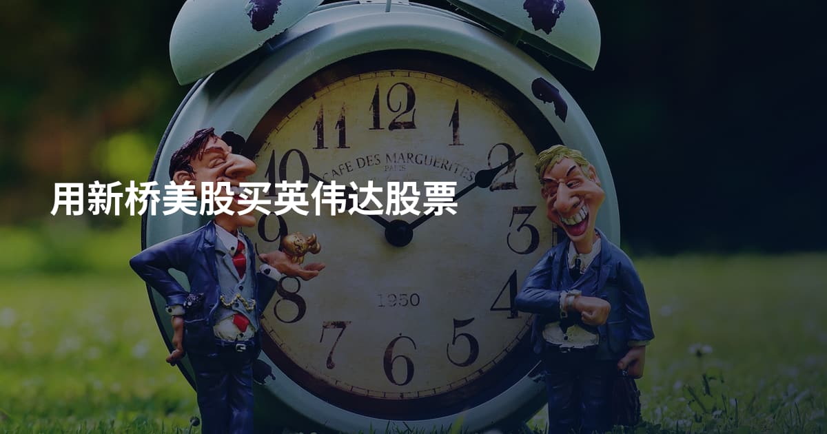 用新桥美股买英伟达股票