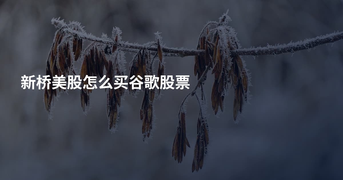 新桥美股怎么买谷歌股票