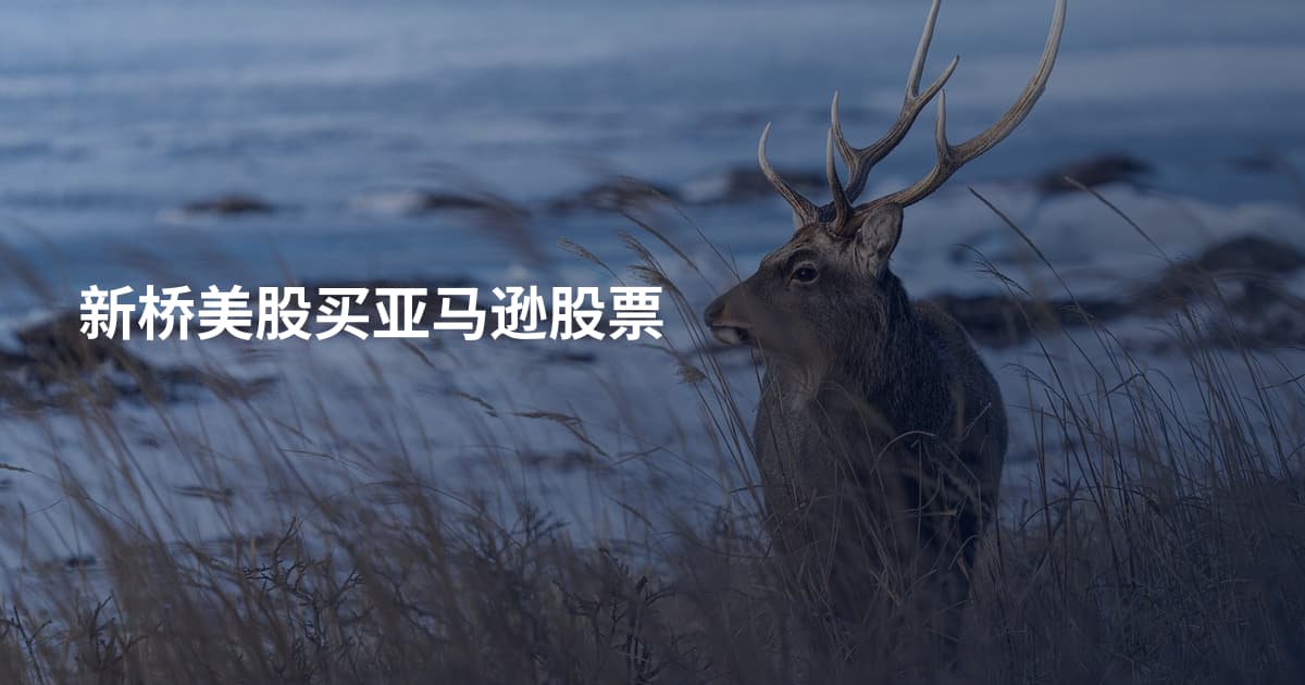 新桥美股买亚马逊股票
