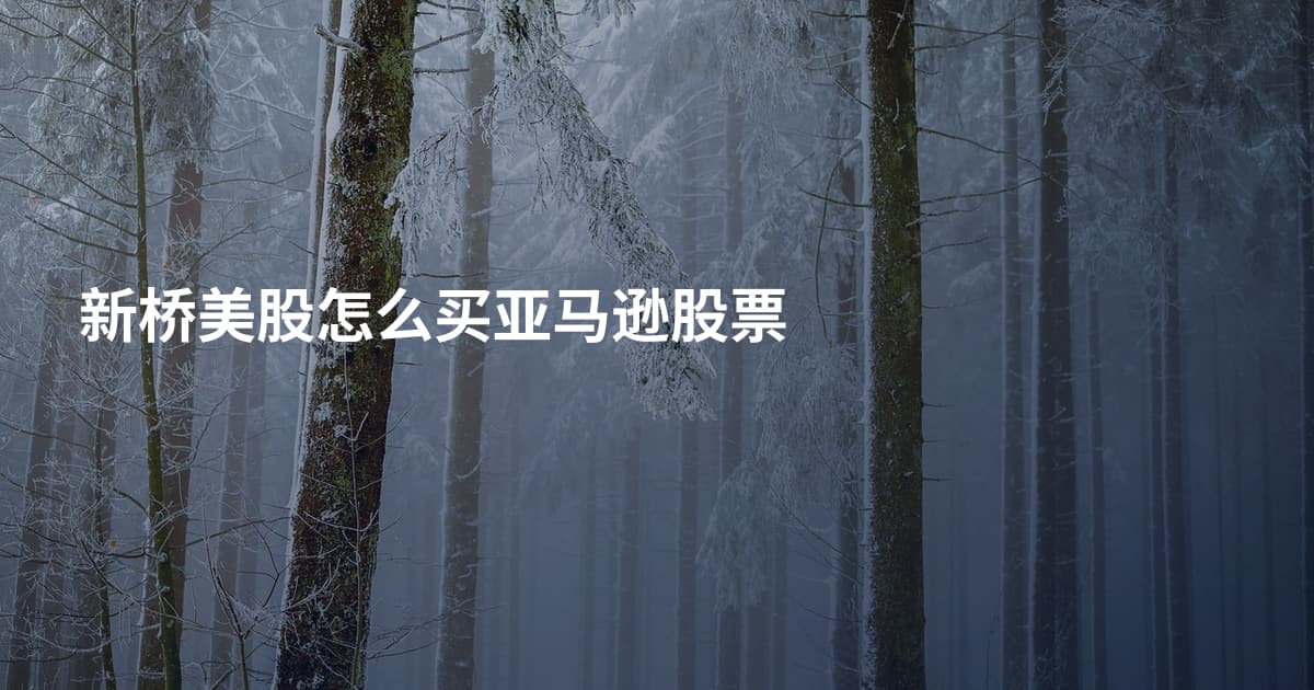 新桥美股怎么买亚马逊股票