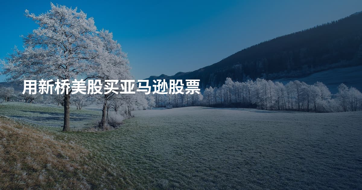 用新桥美股买亚马逊股票