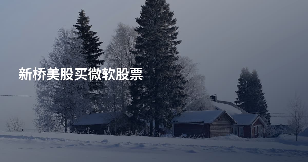 新桥美股买微软股票